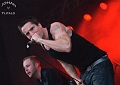 Raised Fist (15)